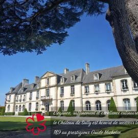 Grand Hôtel "Château de Sully" - Piscine & Spa -Teritoria, hotel a Sully