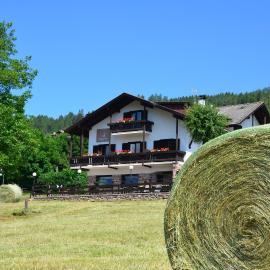 Hotel Garni Edy