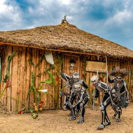 Bird of Paradise ECO Lodge，Mintima的飯店