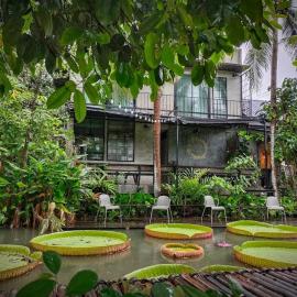 Gajib Bed&Breakfast, hotell i Amphawa