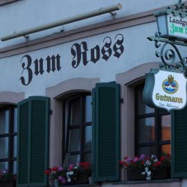 Landgasthof Hotel zum Roß Dorfgütingen，位于福伊希特旺根的酒店