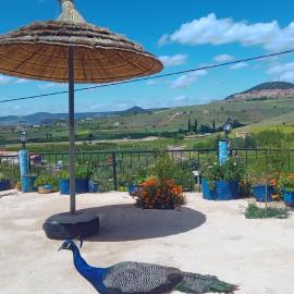 Ifrane में, होटल Gîte Forest Tagroumet traditionel