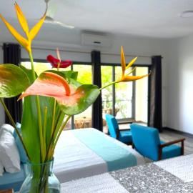 Residence Le Point Choisy, Hotel in Pointe aux Cannoniers
