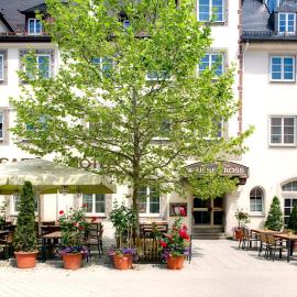 Hotel Weisses Ross, hotel en Memmingen