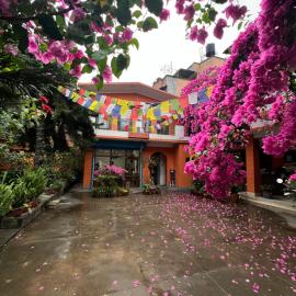 Sun Rise Cottage, hotel v destinaci Kathmandu