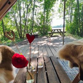 Naturlig på Korsgården Glamping, hotell i Nysted