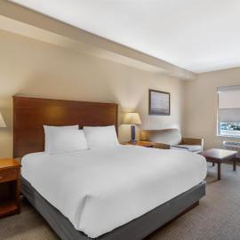 Best Western Plus Service Inn & Suites