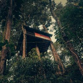 Munnar में, होटल Ela Ecoland Nature Retreat
