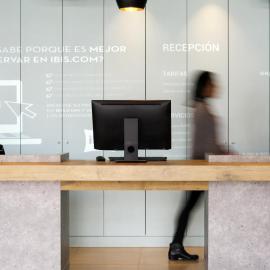 Ibis Irapuato