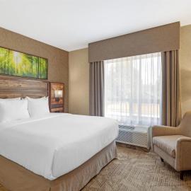 Best Western Plus Valemount Inn & Suites