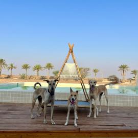 Naseem Farm Escape - dog-friendly camp site, hotel a á¸¨aÅŸat al BidÄ«yah