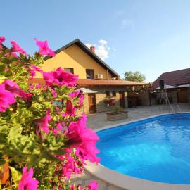 Guest House Vila Alexandar, hotel in Palić