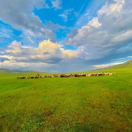 Yurt and Mongolian Ger, hotel u gradu 'Arhust'