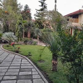 Ashara guesthouse, Hotel in Awasa