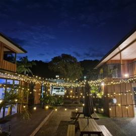 Palm Tree Apartments & backpackers, hotell i Paihia