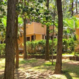 Saltek Forest Cottages, Hotel in Masindi