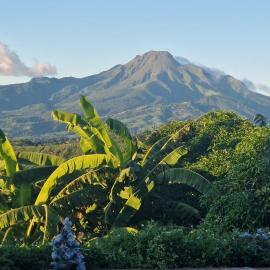 Gîte au Carbet, hotel in Le Morne aux Bœufs