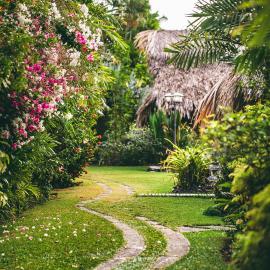 Kariwak Wellness Village, Hotel and Holistic Haven, hotel in Crown Point