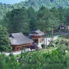 Than Uyên Pineforest Homestay, ξενοδοχείο σε Bản Kiem