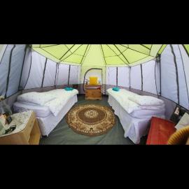THE BEE HIVE, HONEY COMB, QUEEN BEE tents, hotel em Glastonbury