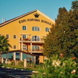 Egri Korona Borház és Wellness Hotel，位于代姆延的酒店