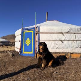 Nomadic home stay, hotel en Ongon