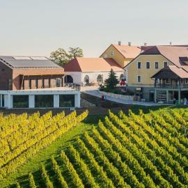 Wine & boutique hotel Terbotz, hotel a Štrigova