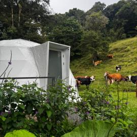 Epífita, Bosque Nuboso Glamping Monteverde, hotel en Monteverde