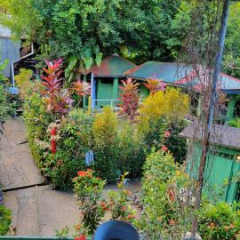 Tia's Bamboo Cottages Restaurant, Bar & Sulphur Spa, hotel din Roseau