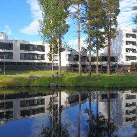 Hotel Sorsanpesä