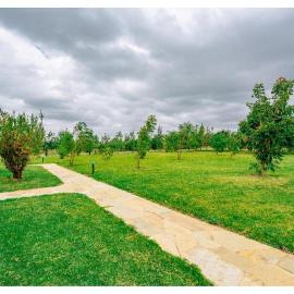Inchorroi Cottages - champagne ridge