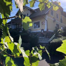 Gasthof Safran