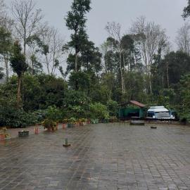 COFFEE ESTATE STAY COORg