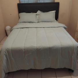 O E Liburd Residence, hotel en Charlestown