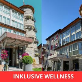 Lifestyle & Spa Hotel Grächerhof, hotel a Grächen