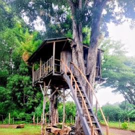 Cabaña Del Árbol - Ometepe, מלון בSanta Ana