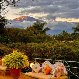 Pink Flamingo Boutique Hotel