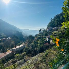 Mountain View Guest House,Geres, Hotel in Geres