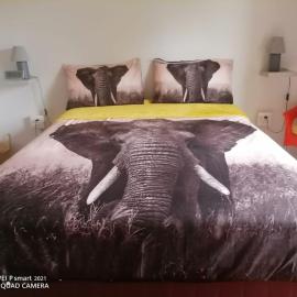 Victoria Falls African Guest House, hotel a Victoria Falls