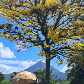 Viesnīca Pura Vista Glamping pilsētā Elkastiljo de La Fortuna