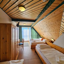 Hotel Asperner Löwe