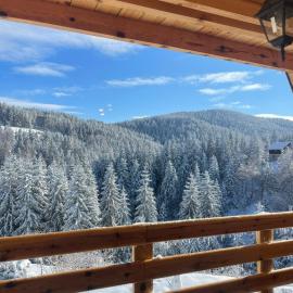 The Tara Concept, hotel em Šljivovica