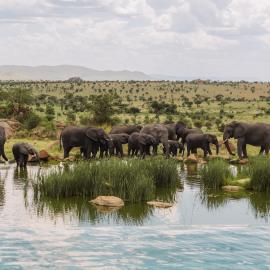 Four Seasons Safari Lodge Serengeti: Banagi şehrinde bir otel