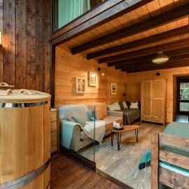 PinusVillas Private Jacuzzi & Phyto-Sauna、Zheleznitsaのホテル
