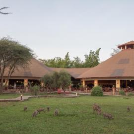 Kilima Safari Camp, hotell i Amboseli