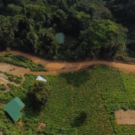 Amajani Gorilla Lodge, готель у місті Kinkizi