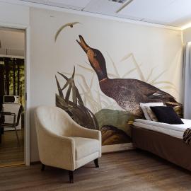 Hotel Sorsanpesä, hotel in Seinäjoki