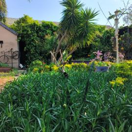 The Hermon Hotel, hotel di Hermon