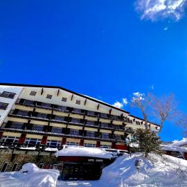 Hotel Kodama, hotel di Yamanouchi