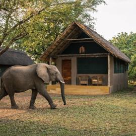 Thornicroft Lodge - South Luangwa, хотел в Мпанда